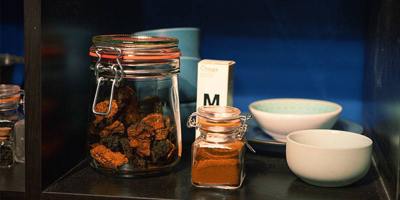 How To Store Chaga