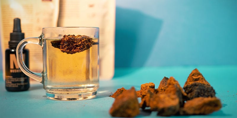 Wrapping Up — The Wonders Of Chaga Mushroom