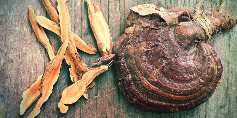 Reishi Whole Mushroom