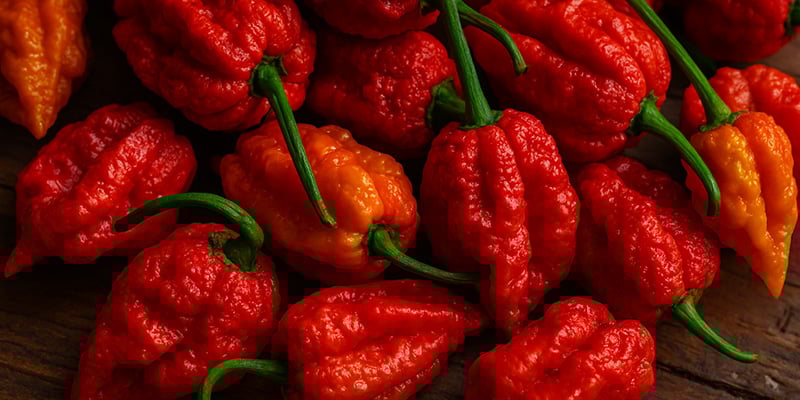 7 Pot Jonah: 1.2M SHU 7 Pot Jonah: 1.2M SHU