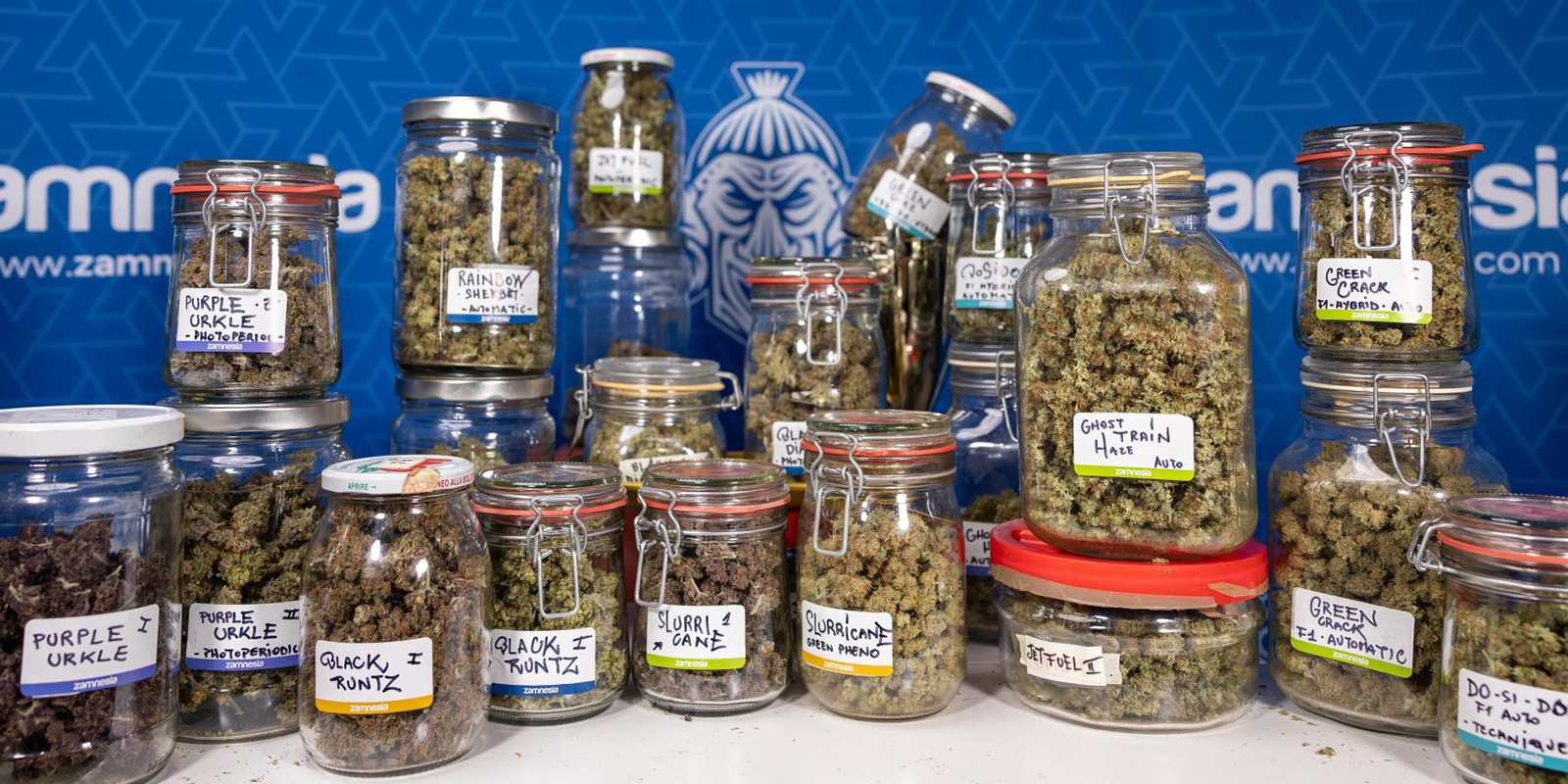 Final thoughts: Why these strains keep our community coming back Final thoughts: Why these strains keep our community coming back