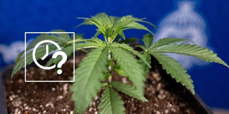 When to use each method When to use each method