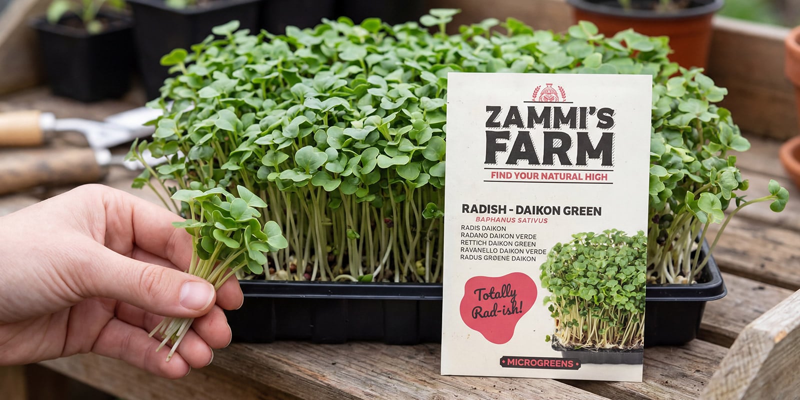 Microgreens Microgreens