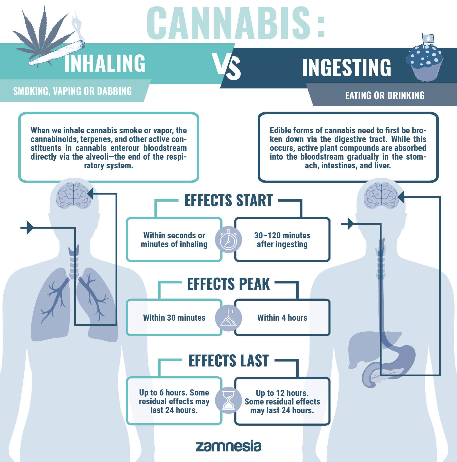 Is Inhaling The Same As Ingesting?