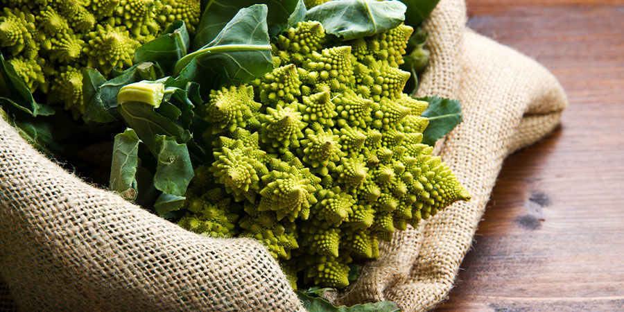 Romanesco Broccoli