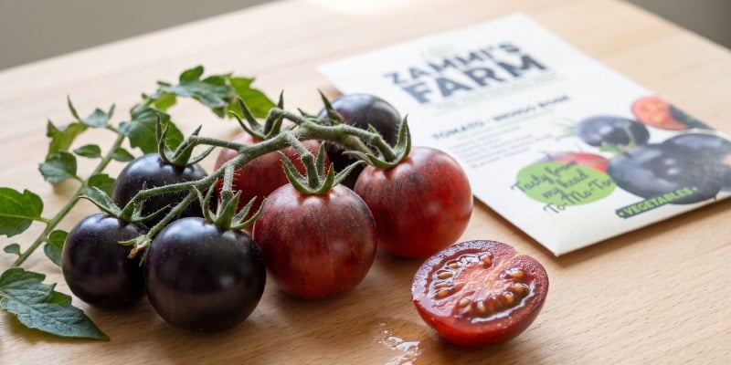 Indigo rose cherry tomato Indigo rose cherry tomato