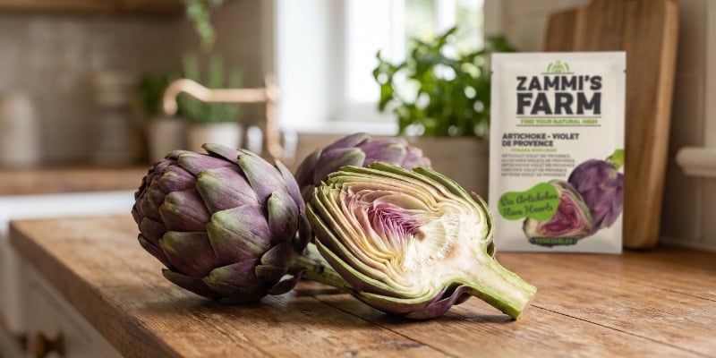 Violet de Provence artichoke Violet de Provence artichoke
