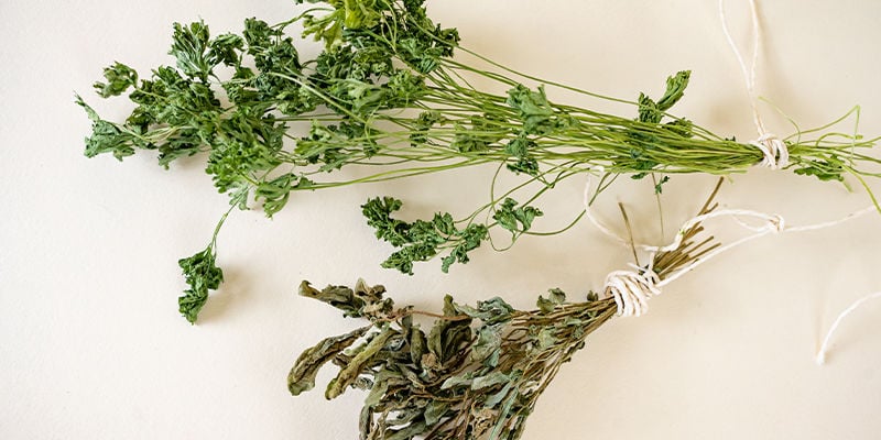 Become a self-sufficient herb aficionado