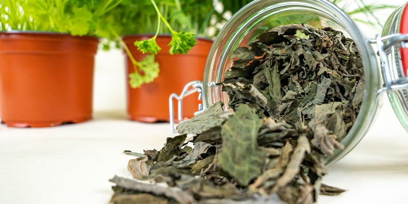 How Long Do Dry Herbs Last?