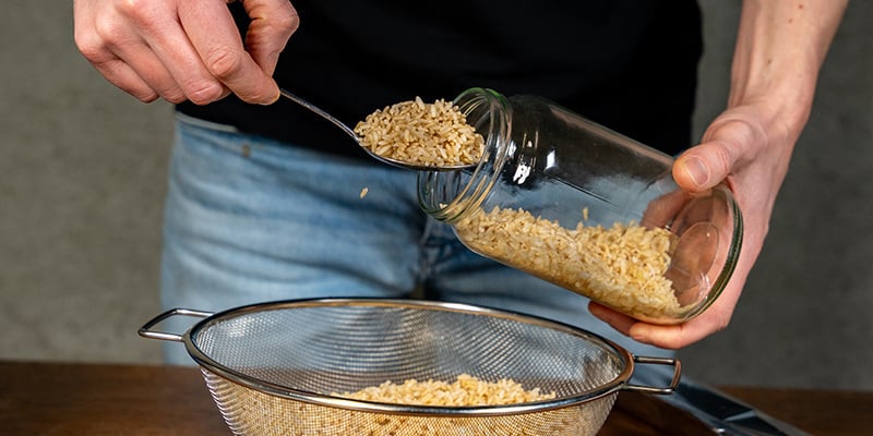 Fill glass jars or spawn bags with the grain of your choice