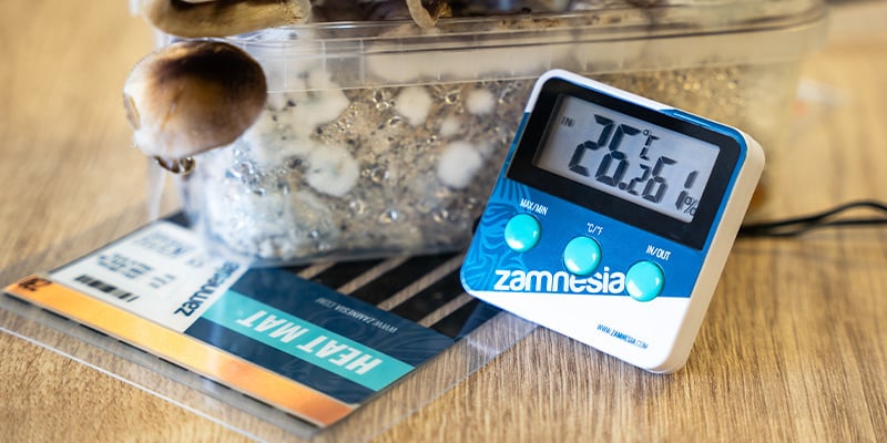 Use a heat mat to keep the temperature between 21–24°C