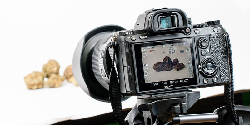 How to configure your camera for cannabis photography