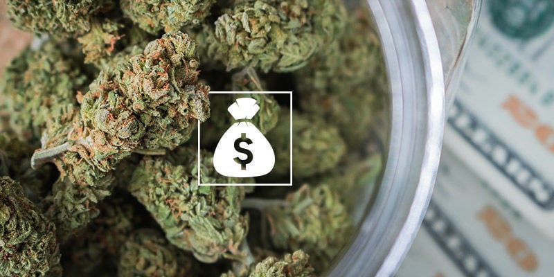 How Much Do Cannabis Seeds Cost?