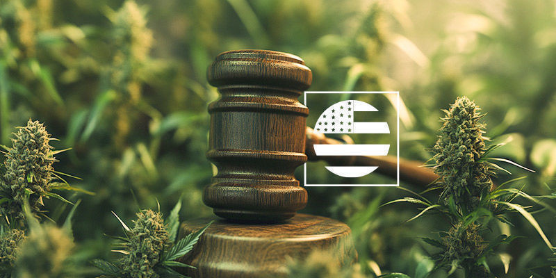 Is It Legal To Buy Cannabis Seeds In The US?