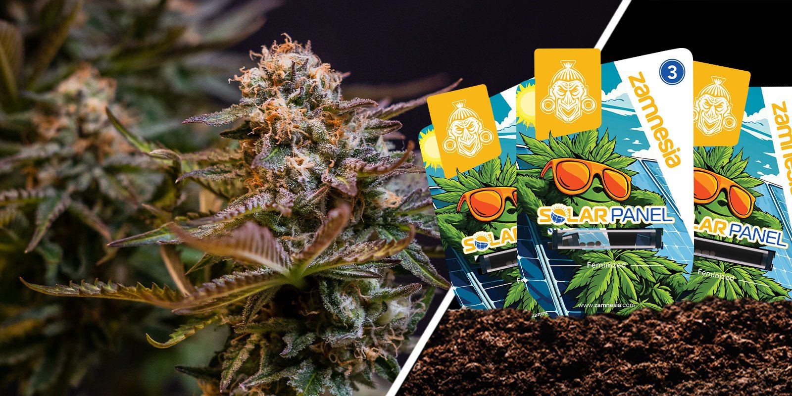Solar Panel: Sweet citrus power, day or night