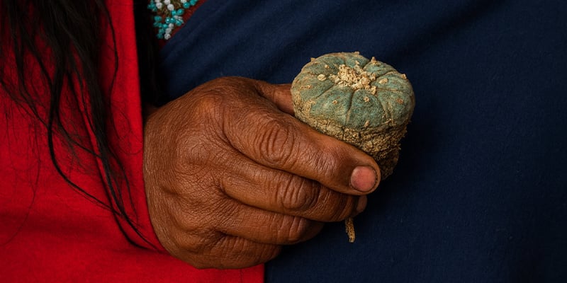 The flow of a peyote ceremony