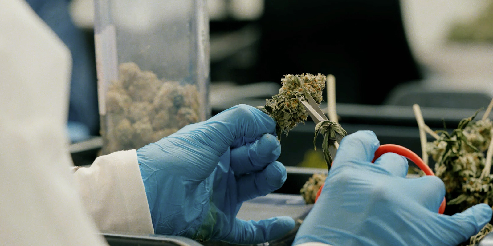 Impact on the community and the future