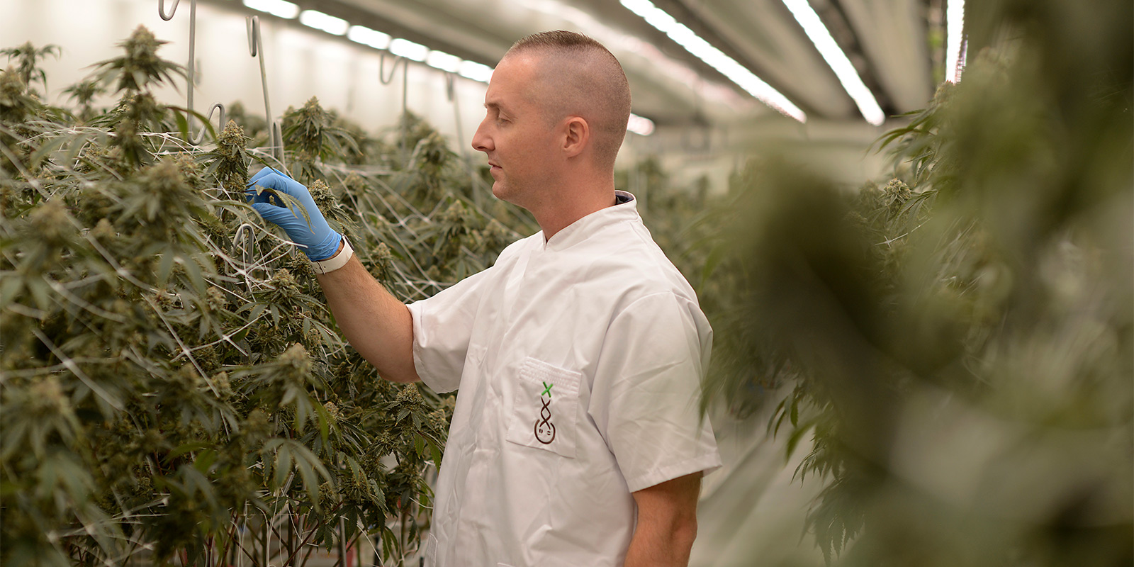 Navigating the current landscape of the experiment