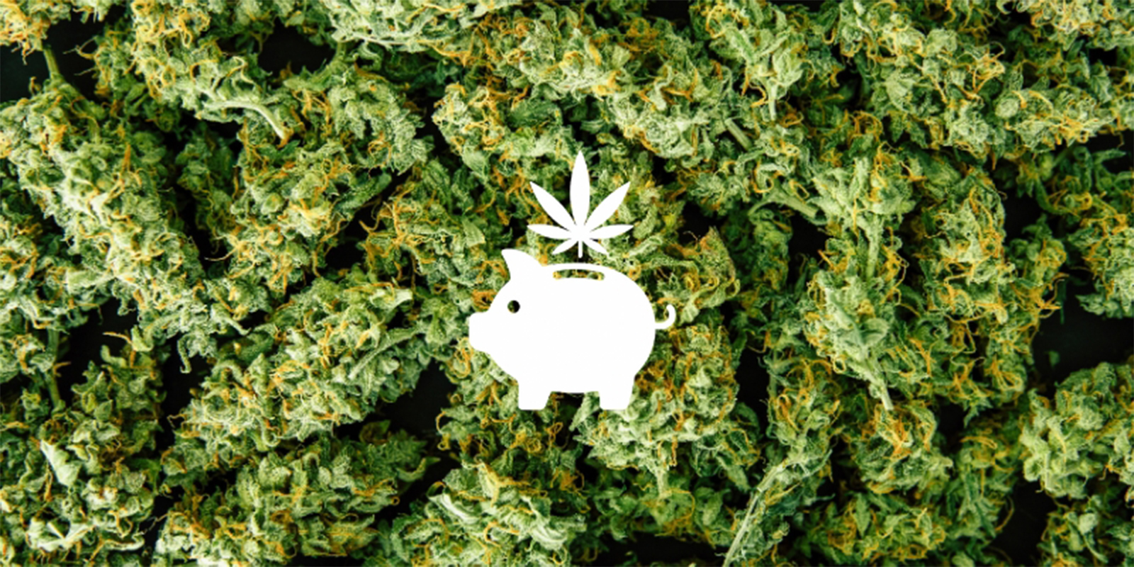 Reason #1: Save money in the long run