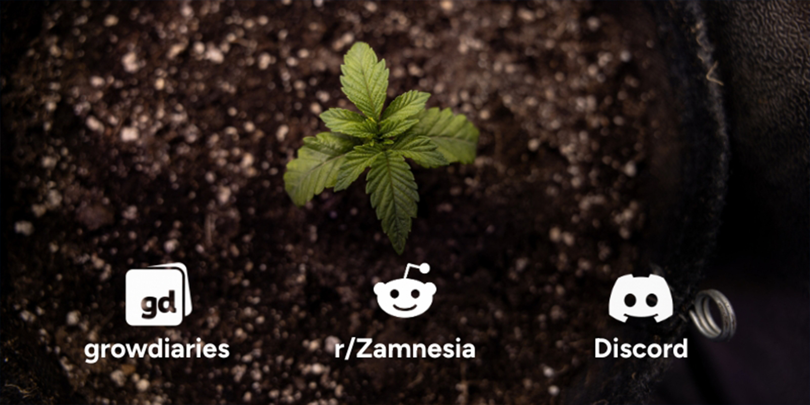 Reason #10: Join a growing community