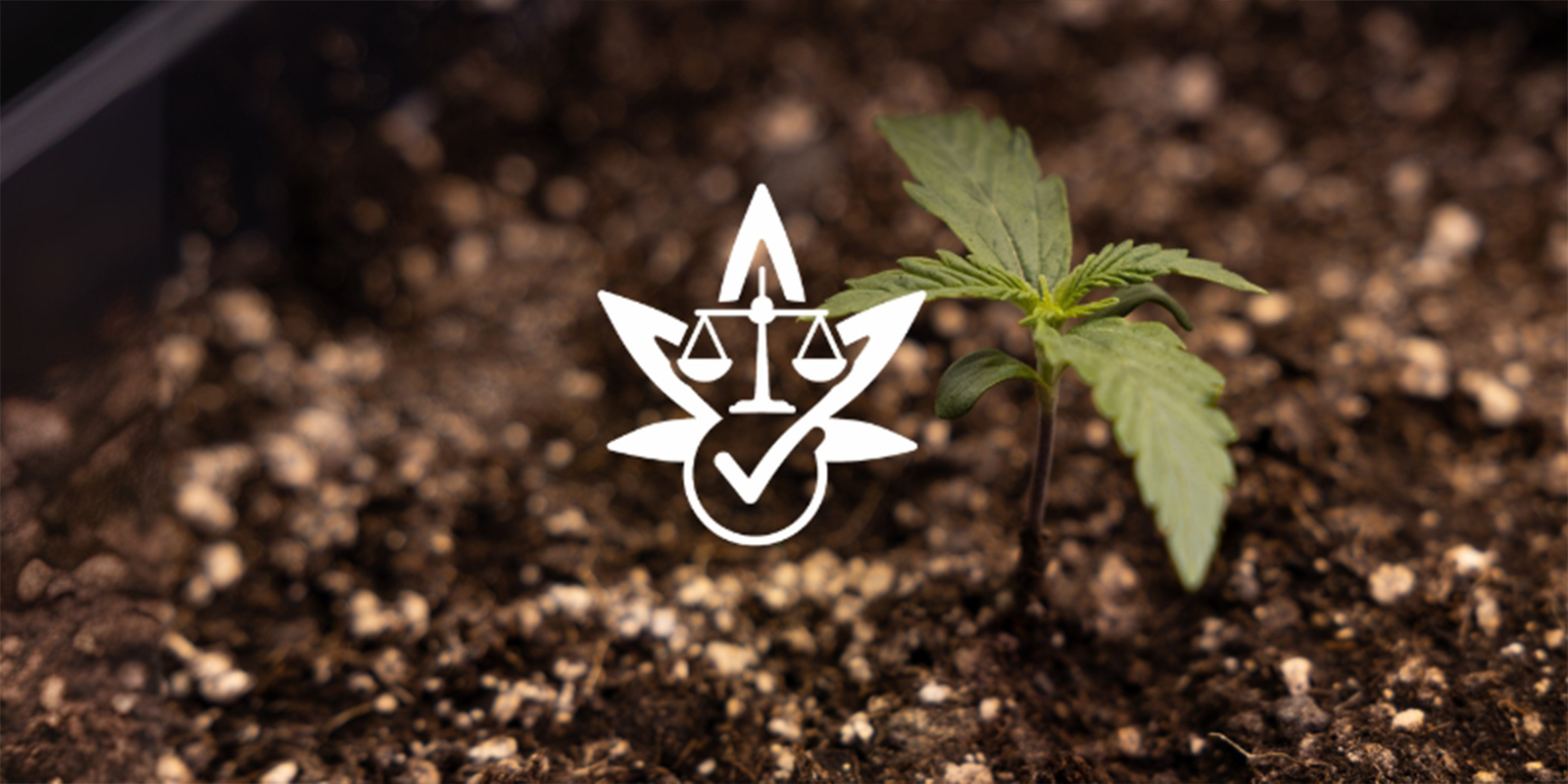 Reason #7: Legal freedom (where applicable)