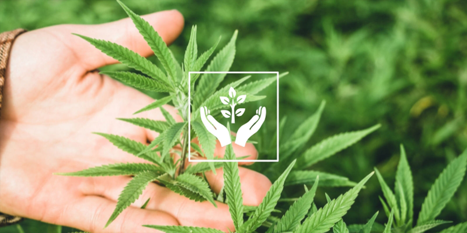 Reason #8: Therapeutic & mindful