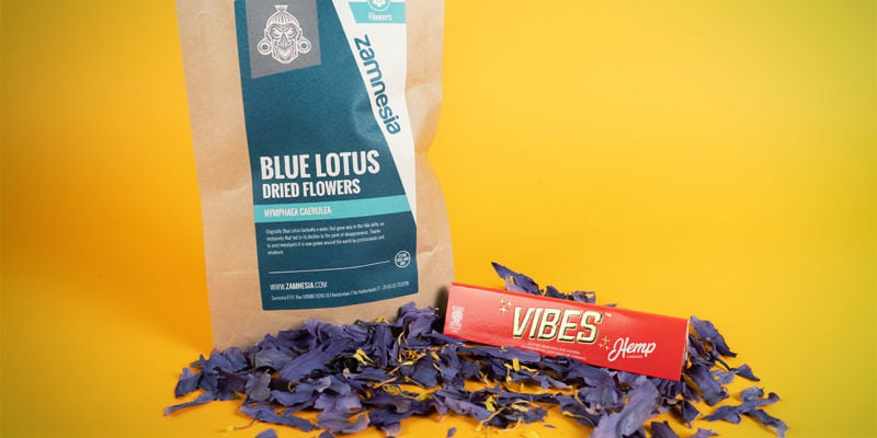 Blue lotus