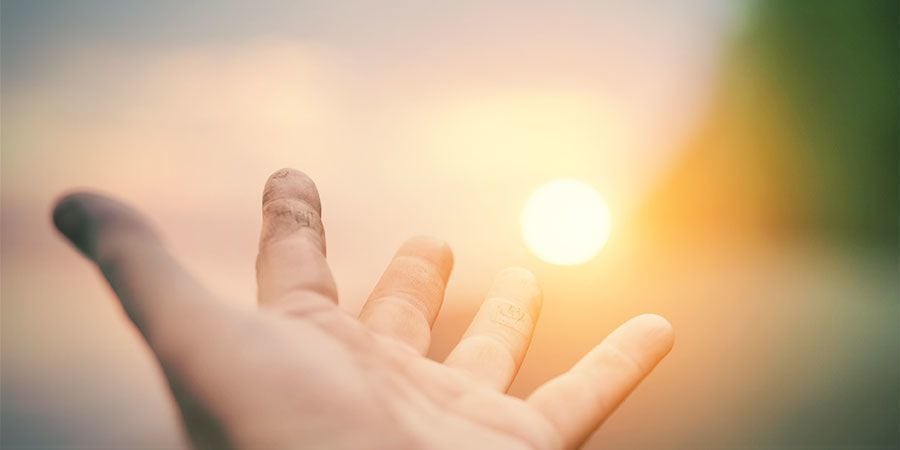 Do The “hand Test” - Cannabis Plants