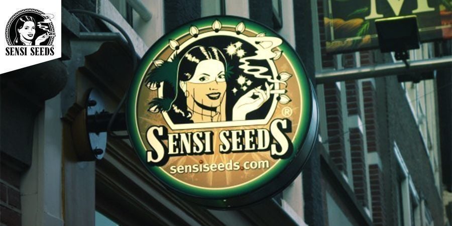 Sensi Seeds