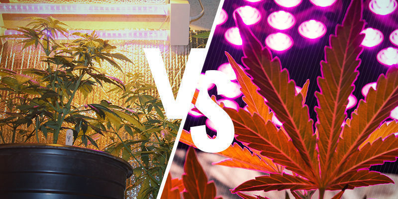 Which is better: HPS or LED?