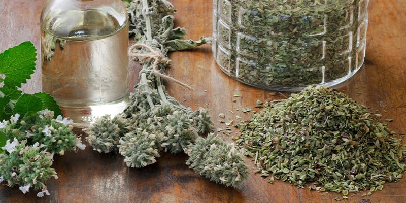 Catnip (for humans)