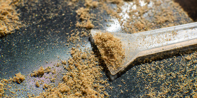 What Is Kief?