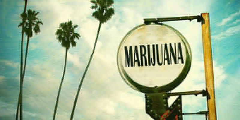 OG Kush Cannabis: Florida Born And Bred