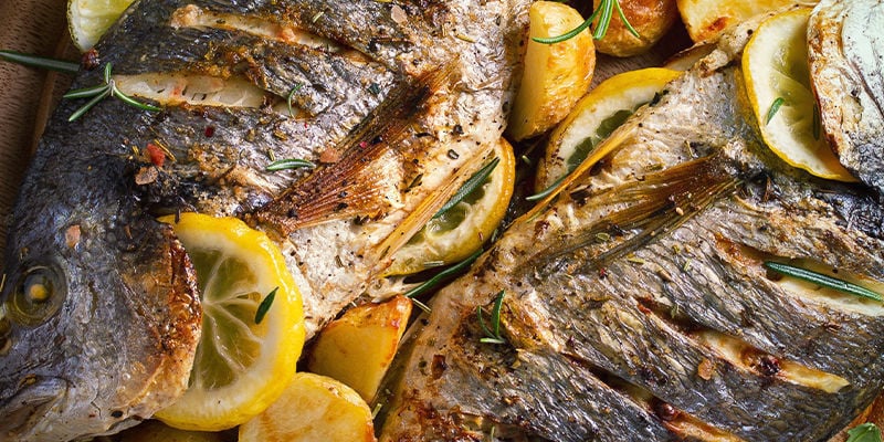 Fish sea bream