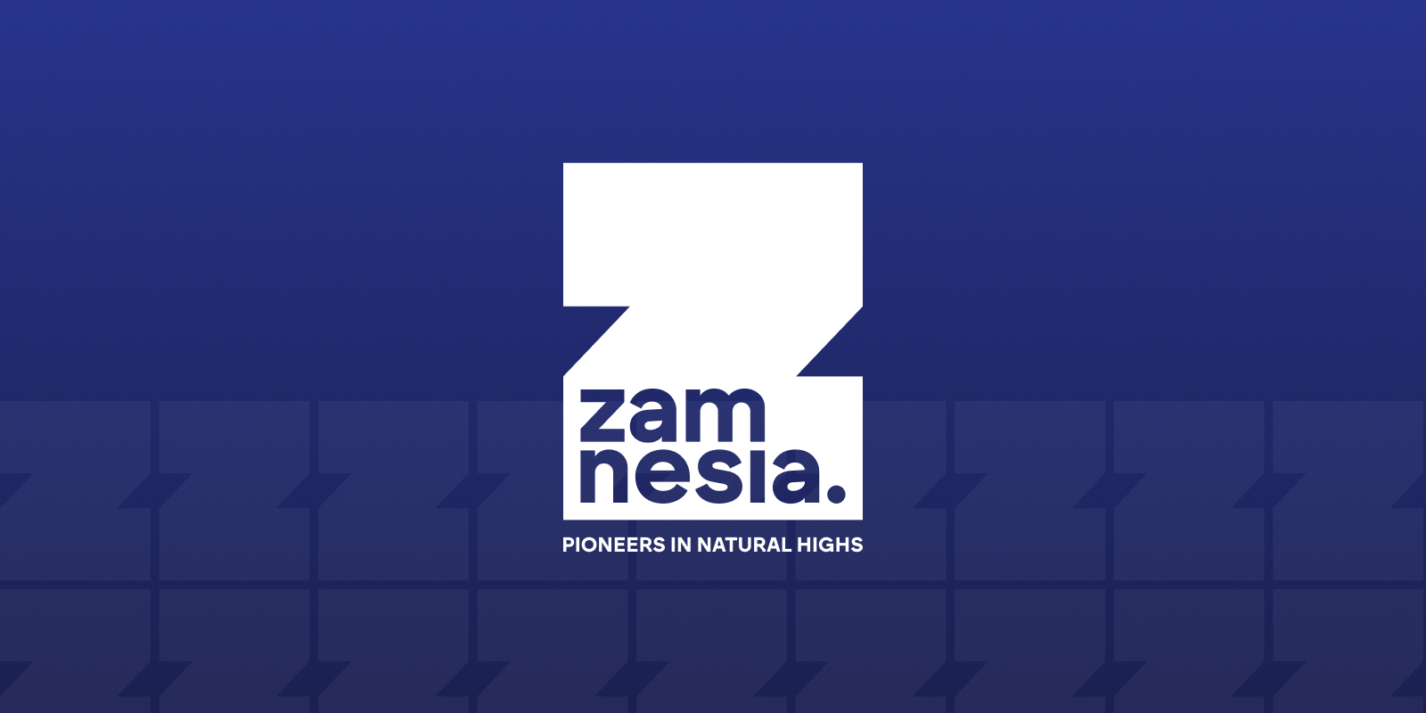 Zamnesia Terms & Conditions