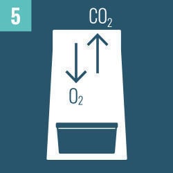 User Instructions Magic Mushroom Grow Kits Zamnesia