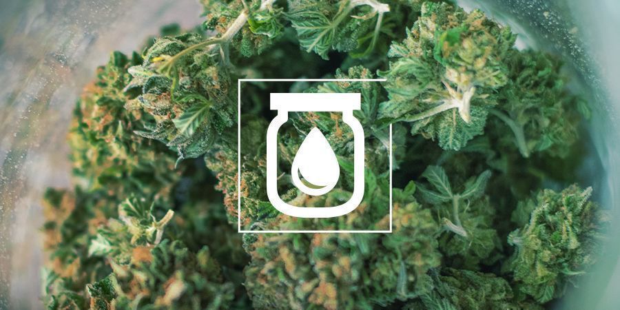 Water Curing Cannabis: What It Is And How to Do It