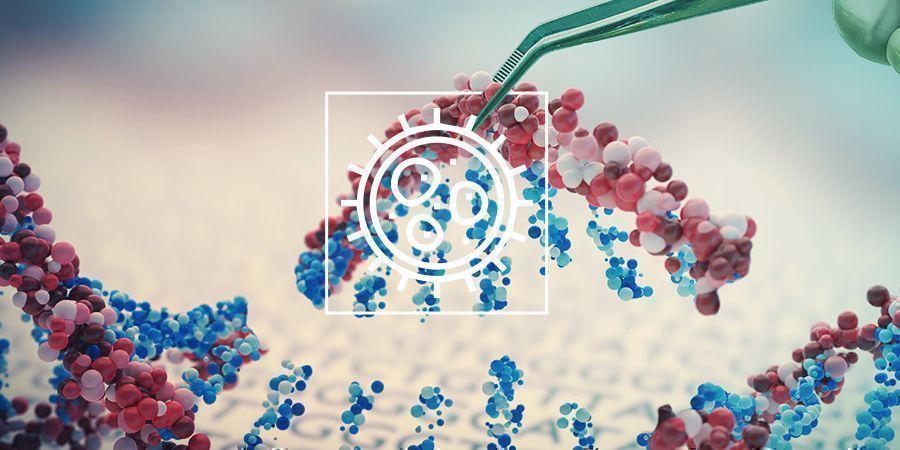 Cannabis On A Cellular Level