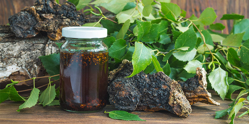 How To Make Mushroom Tincture