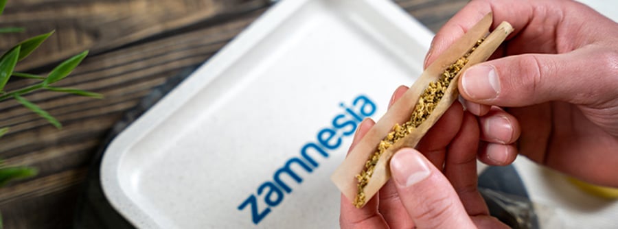 Information About The Zamnesia Headshop