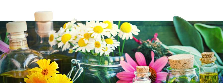 Information About the Zamnesia Smartshop Information About the Zamnesia Smartshop