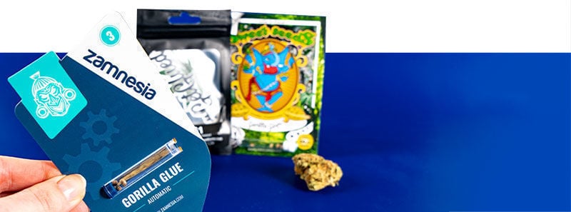 Gorilla Glue Strains