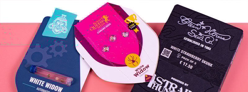 About White Widow Strains About White Widow Strains