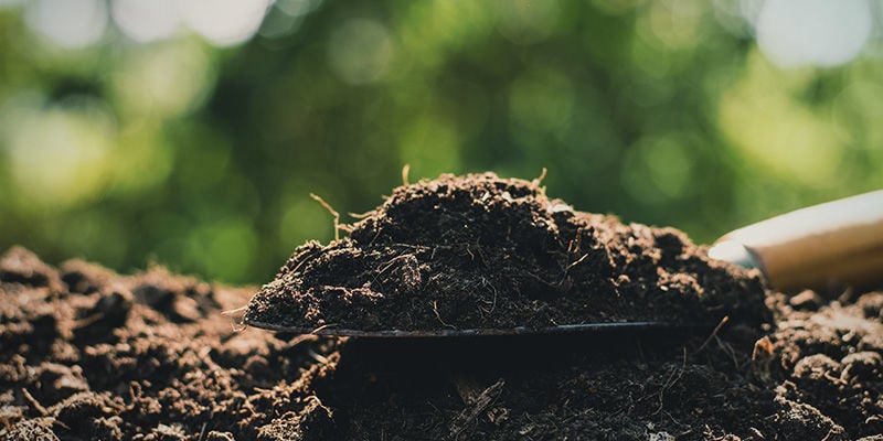 The optimal soil: loamy