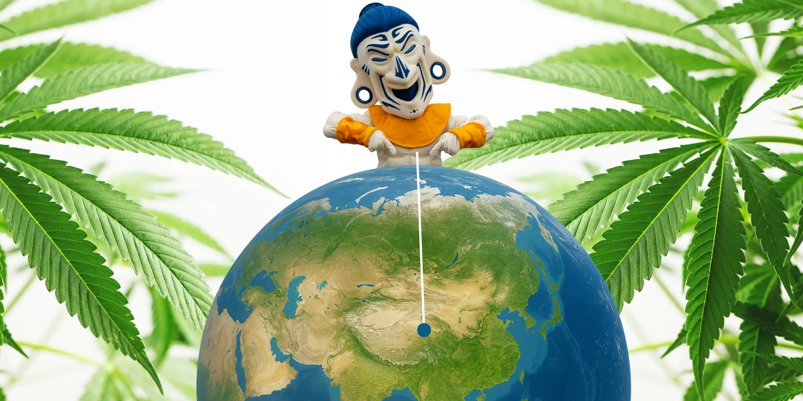 The origins and history of sativa