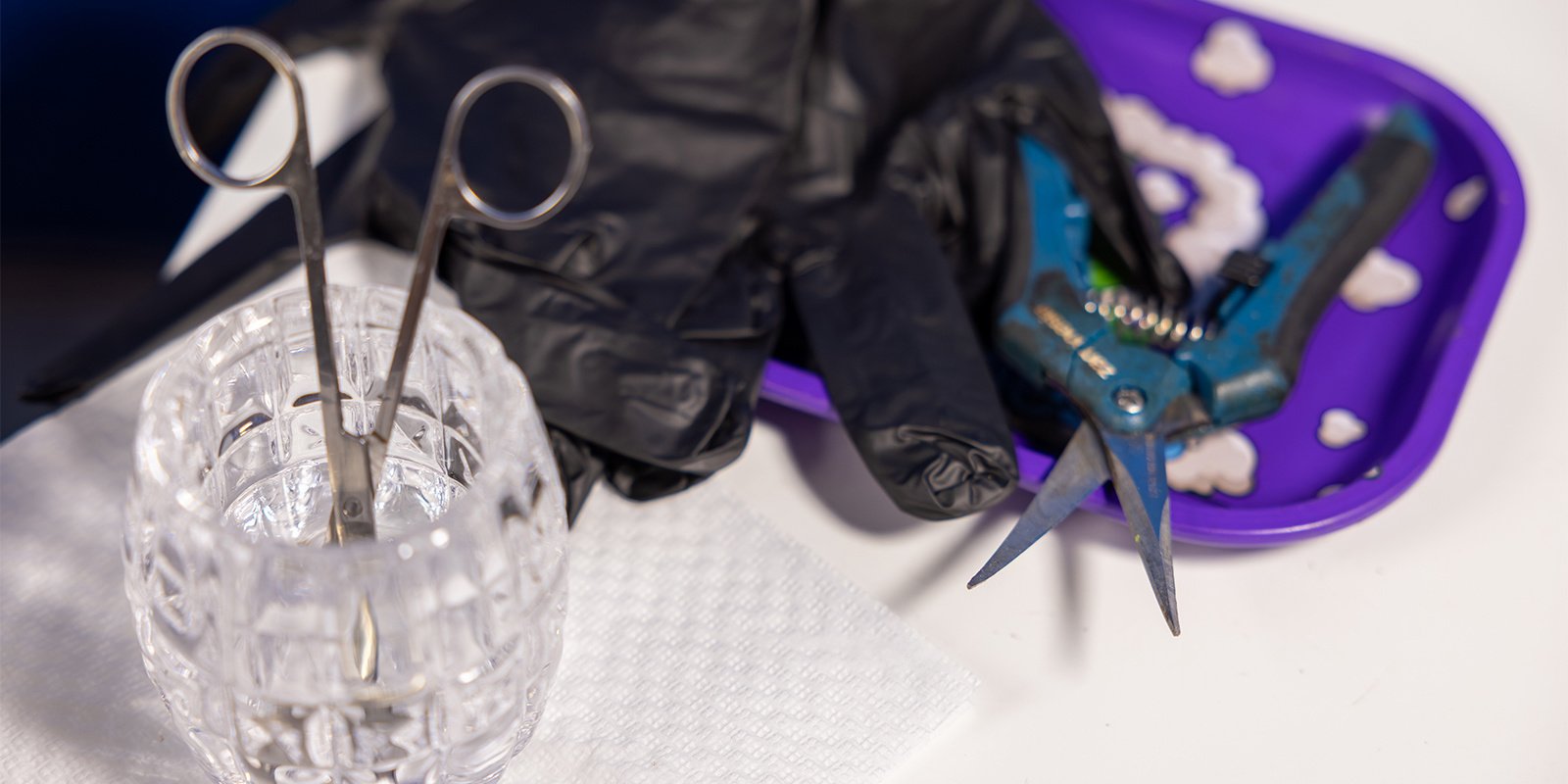Step 2: Use clean tools