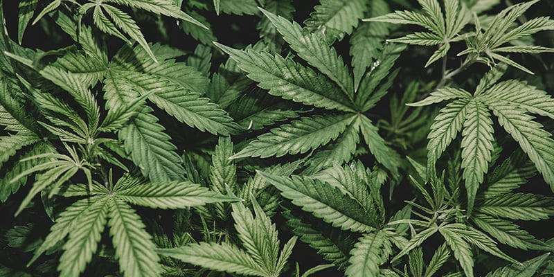 Common mistakes to avoid