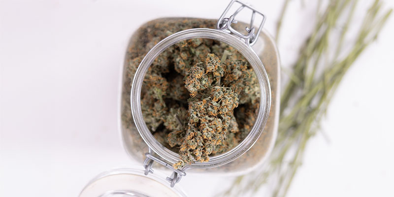 How to store weed (properly)