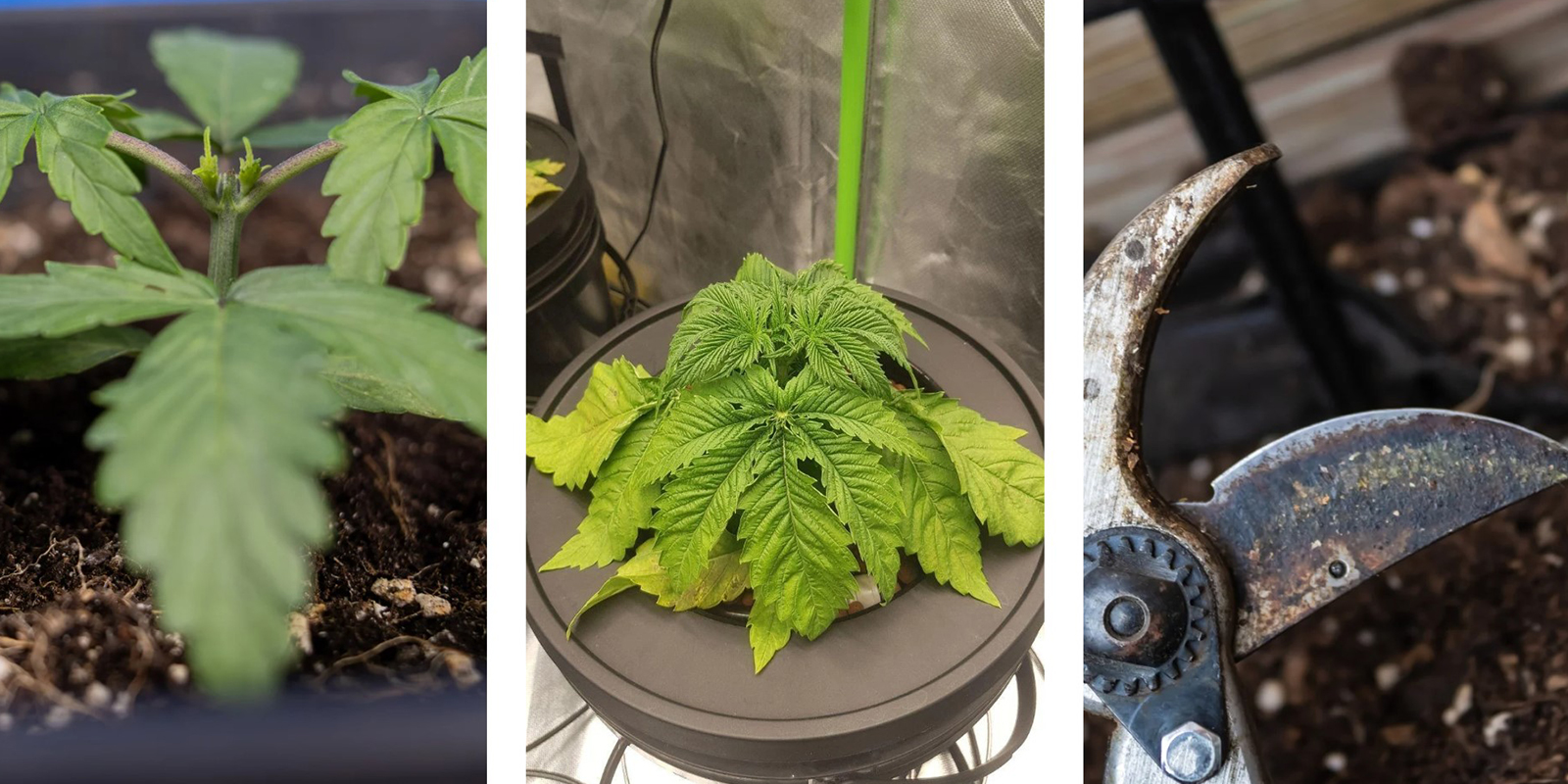 Common mistakes to avoid Common mistakes to avoid