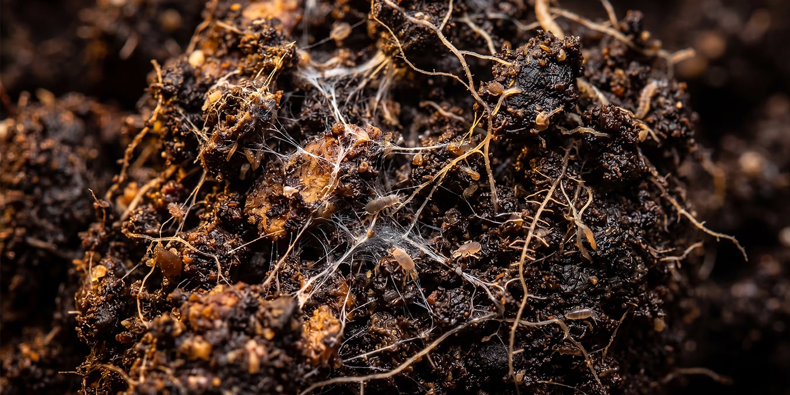 Organic growing: Do you still need to flush?